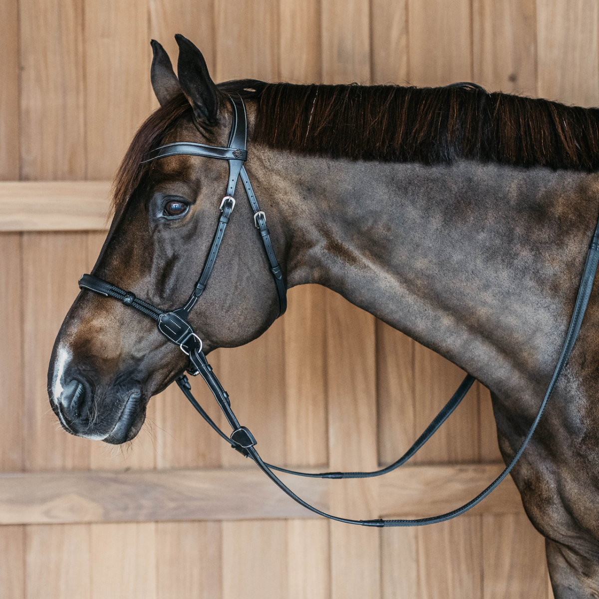 Dyon WO Bettlöst Träns