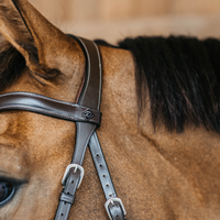 Dyon WO Bettlöst Träns