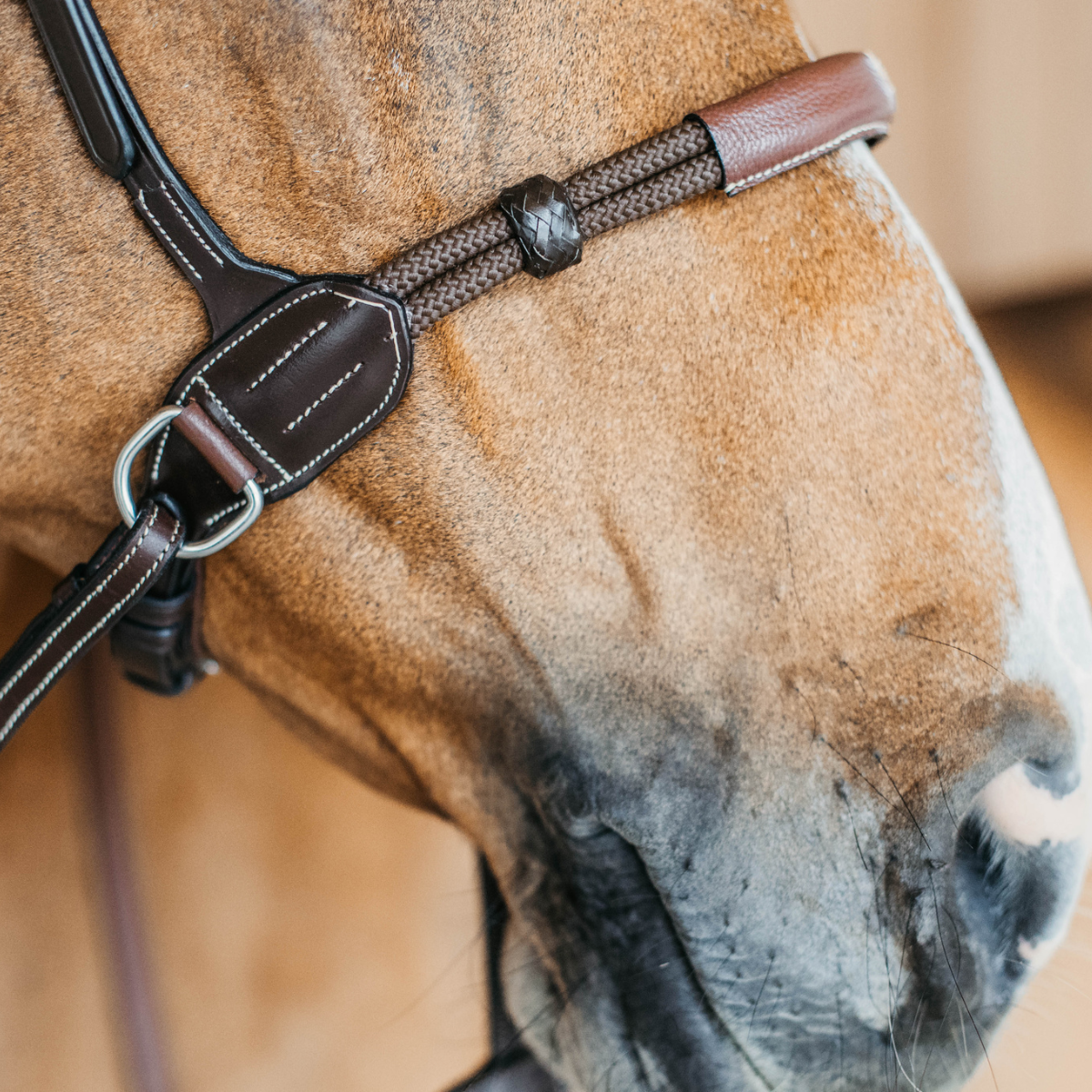 Dyon WO Bettlöst Träns