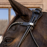 Dyon WO Dressyrträns Comfort