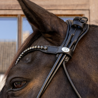 Dyon WO Dressyrträns Comfort