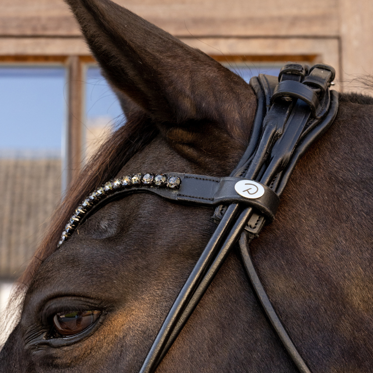 Dyon WO Dressyrträns Comfort