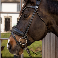 Dyon WO Dressyrträns Comfort