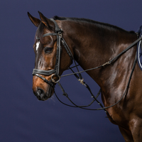 Dyon WO Tygel till Gogue