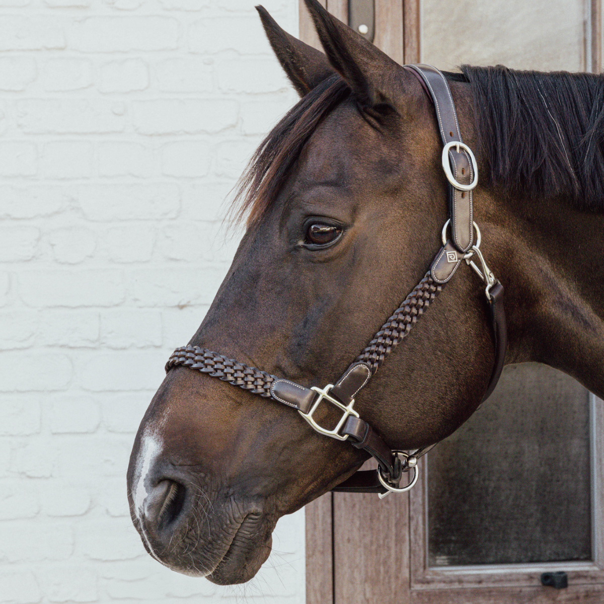 Dyon WO Grimma Flätad