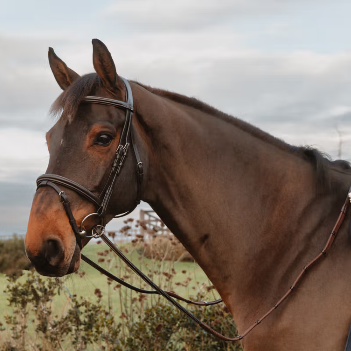 Dyon WO Gummitygel 13mm med stoppar, ringinfästningen