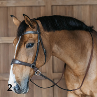 Dyon WO Motion Träns