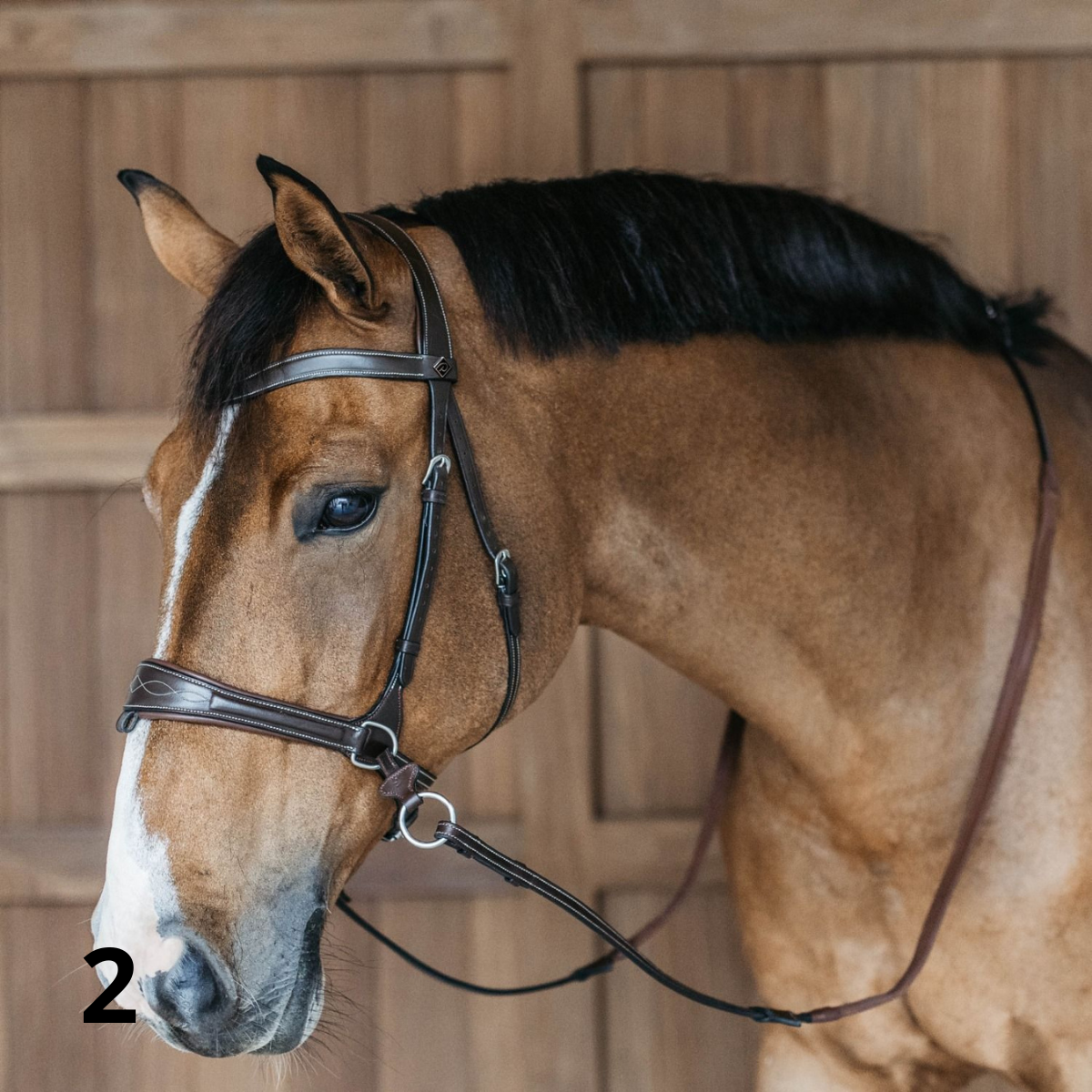 Dyon WO Motion Träns