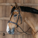 Dyon WO Motion Träns