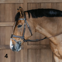 Dyon WO Motion Träns