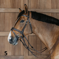 Dyon WO Motion Träns