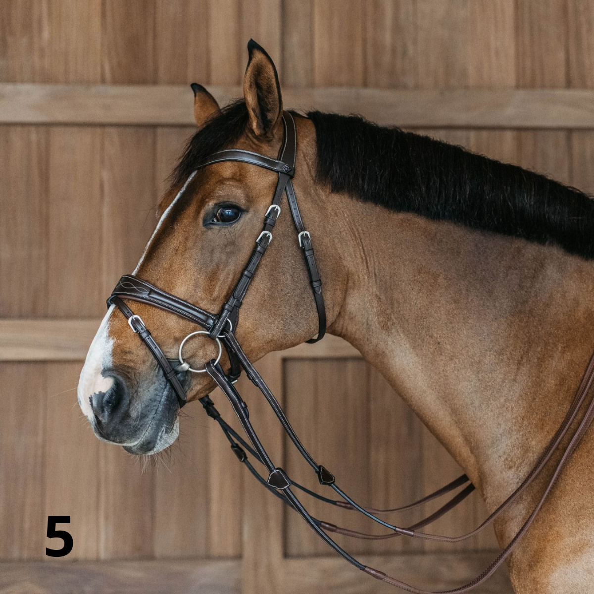 Dyon WO Motion Träns