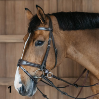 Dyon WO Motion Träns