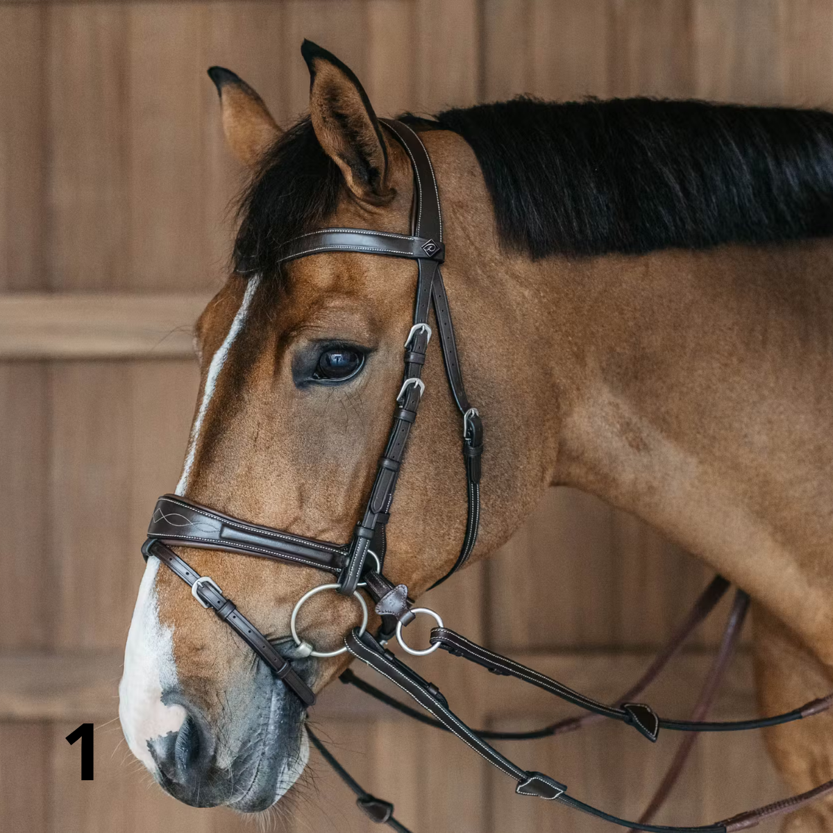 Dyon WO Motion Träns