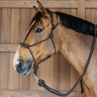 Dyon WO Training Repgrimma