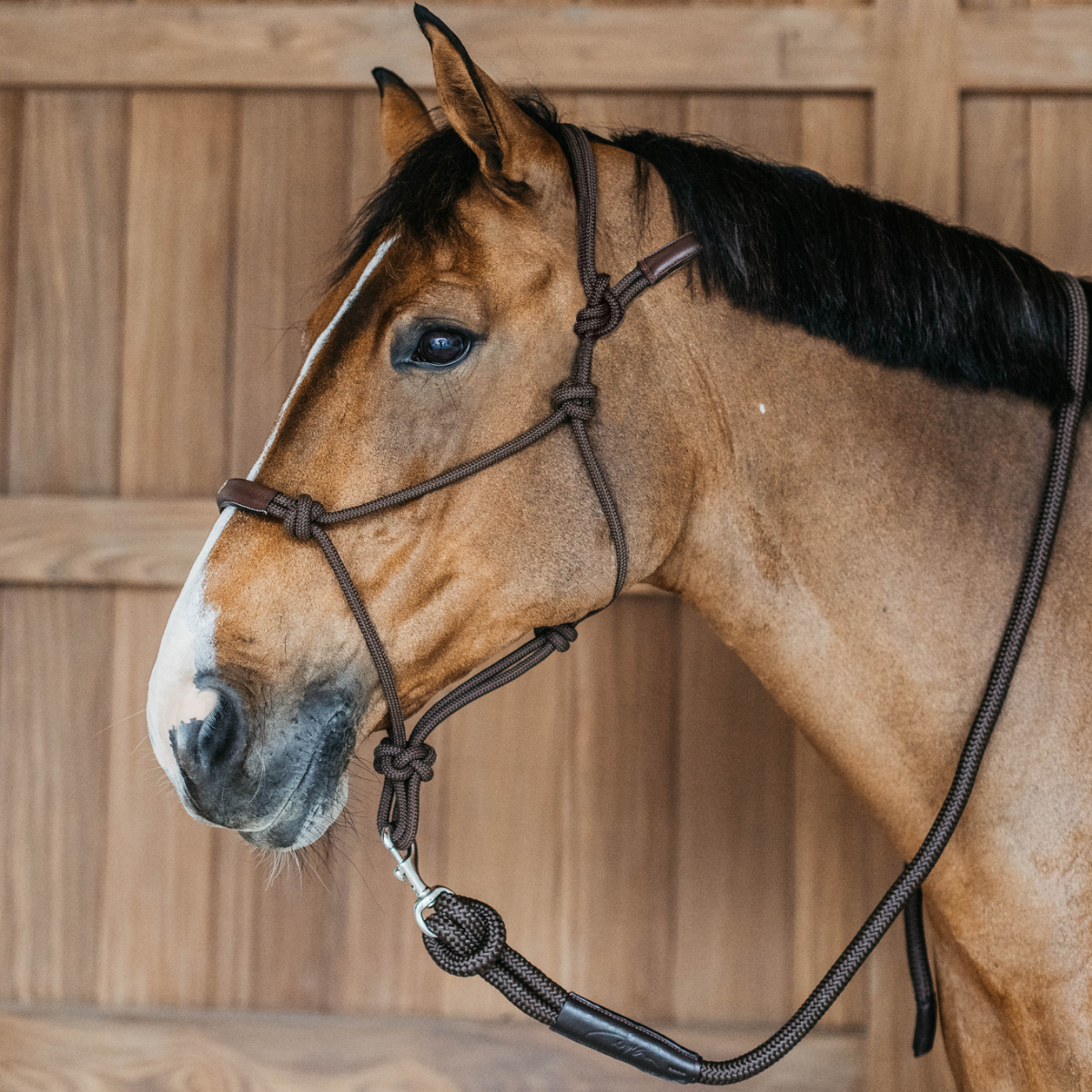 Dyon WO Training Repgrimma