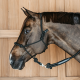 Dyon WO Training Repgrimma