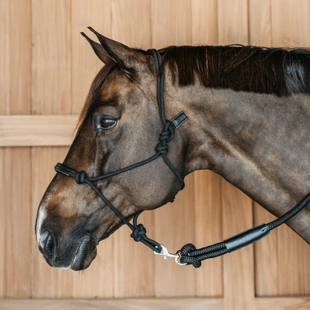 Dyon WO Training Repgrimma