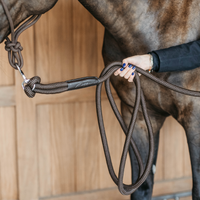 Dyon WO Training grimskaft 3,7m