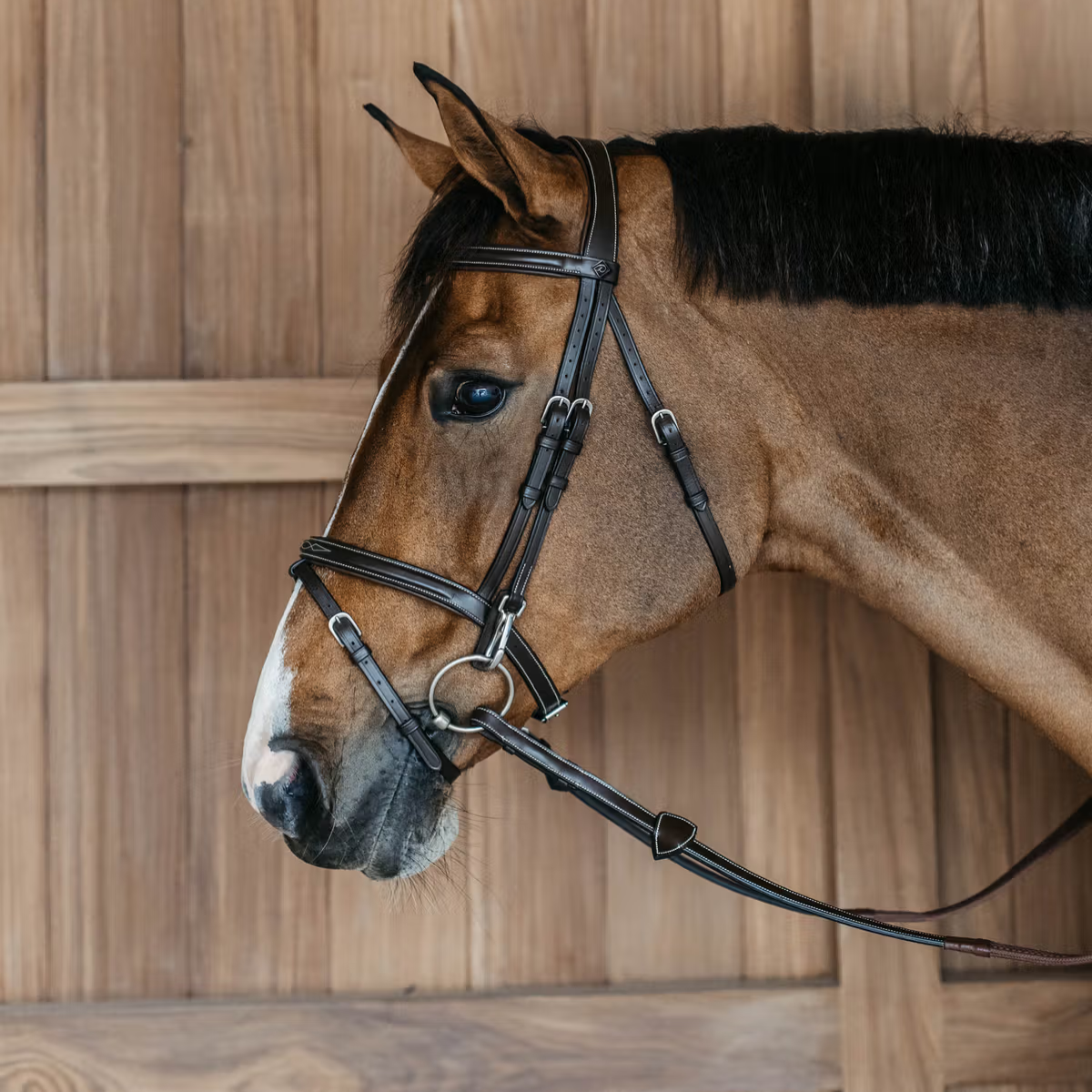Dyon WO Träns med clips, mönstersöm komb.nosgrimma
