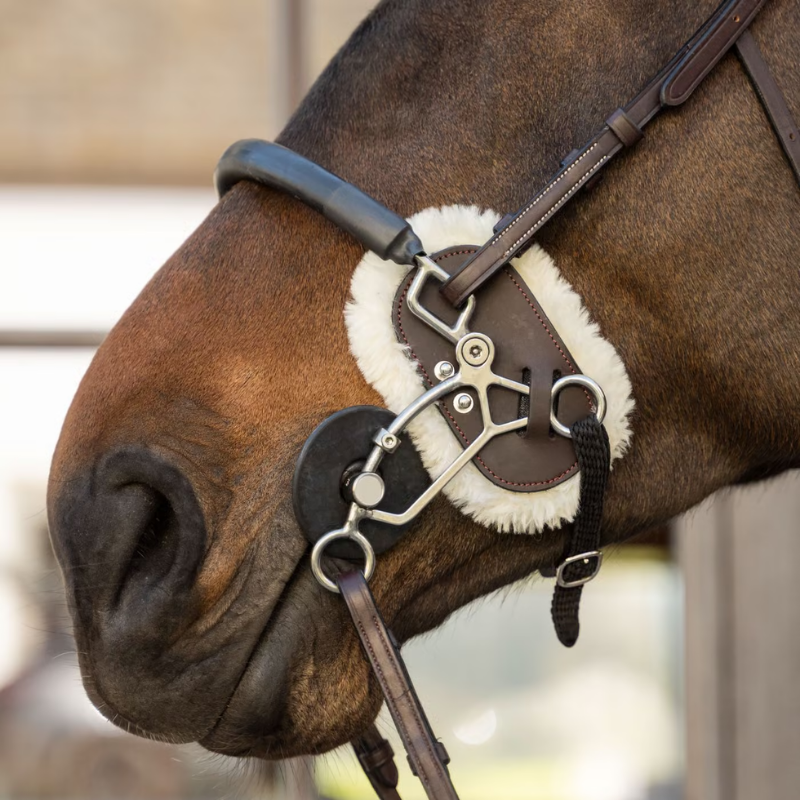 Dyon Hackamore Skydd Fårskinn