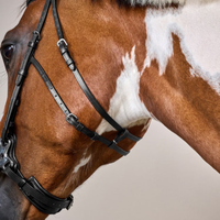 Dyon US Hackamore Träns