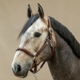 Dyon WO Leather Halter 2-in-1