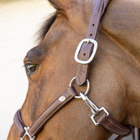 Dyon WO Leather Halter 2-in-1