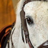 Dyon Blinkers for side pieces