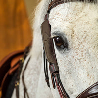 Dyon Blinkers for side pieces