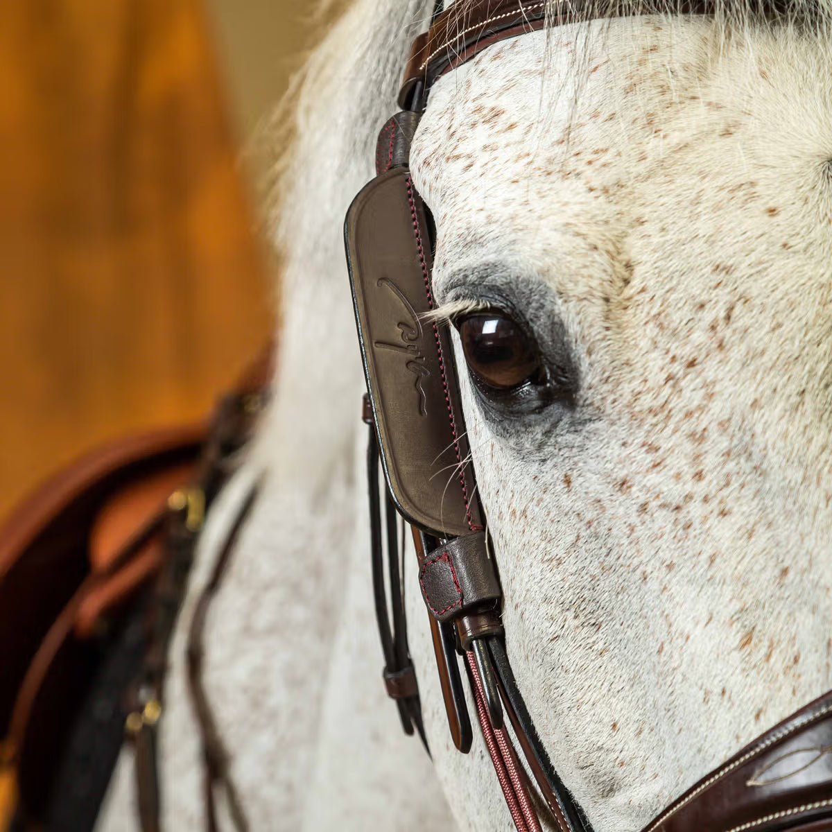 Dyon Blinkers for side pieces