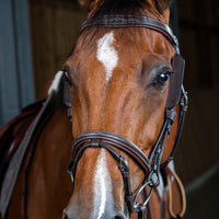 Dyon Blinkers for side pieces