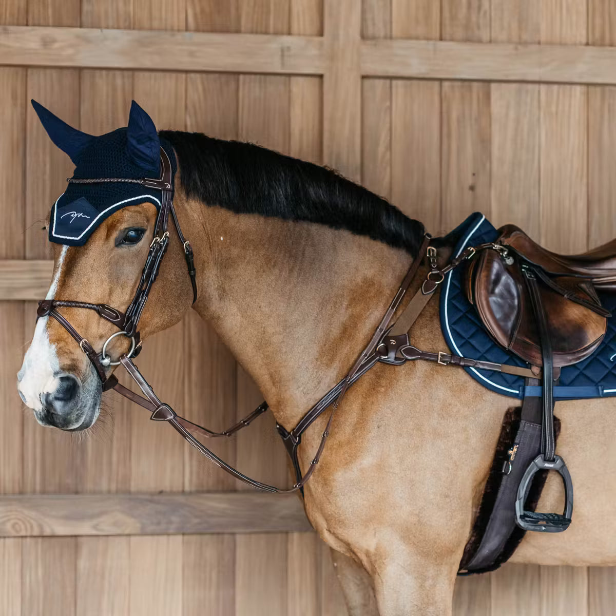 Dyon DY Breast 5-Point