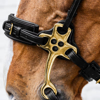 Dyon DY Hackamore