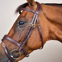 Dyon DY Träns anatomisk nosgrimma