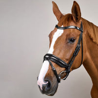 Dyon WO Dressage bridle Large comb.nose halter