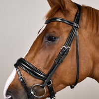 Dyon WO Dressage bridle Large comb.nose halter