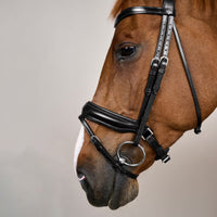 Dyon WO Dressage bridle Large comb.nose halter