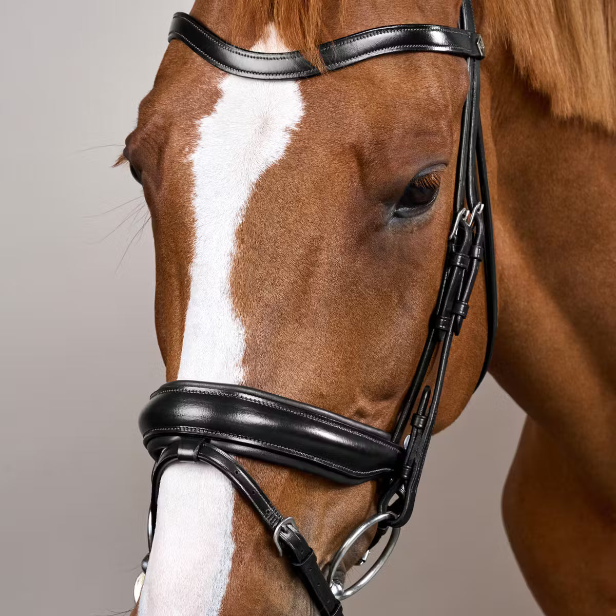 Dyon WO Dressage bridle Large comb.nose halter