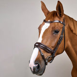 Dyon WO Dressage bridle Large comb.nose halter