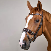Dyon WO Dressage bridle Large comb.nose halter