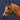 Dyon WO Bridle comb.nose halter