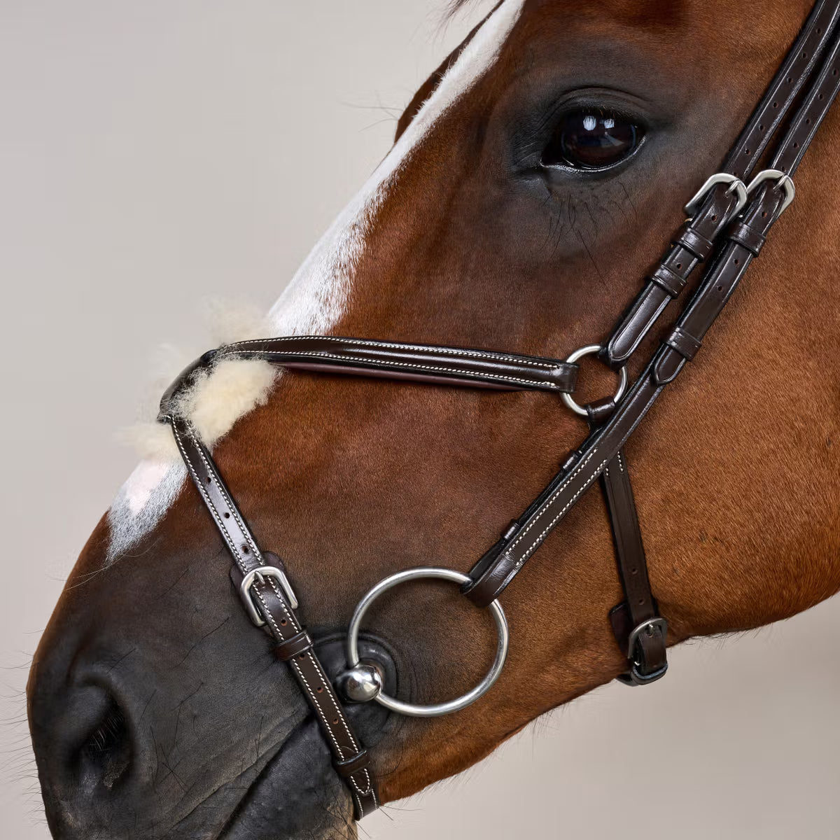 Dyon WO Bridle Mexican Noseband