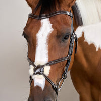 Dyon WO Bridle Mexican Noseband