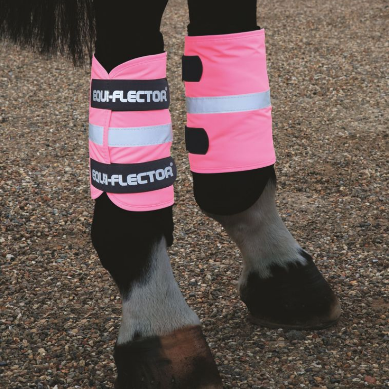 EQUI-FLECTOR® Benreflex
