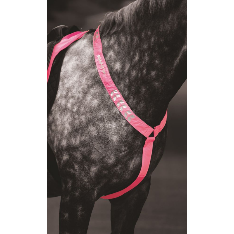 EQUI-FLECTOR® Reflex Brösta