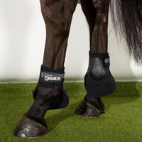 Eskadron Bakskydd Special