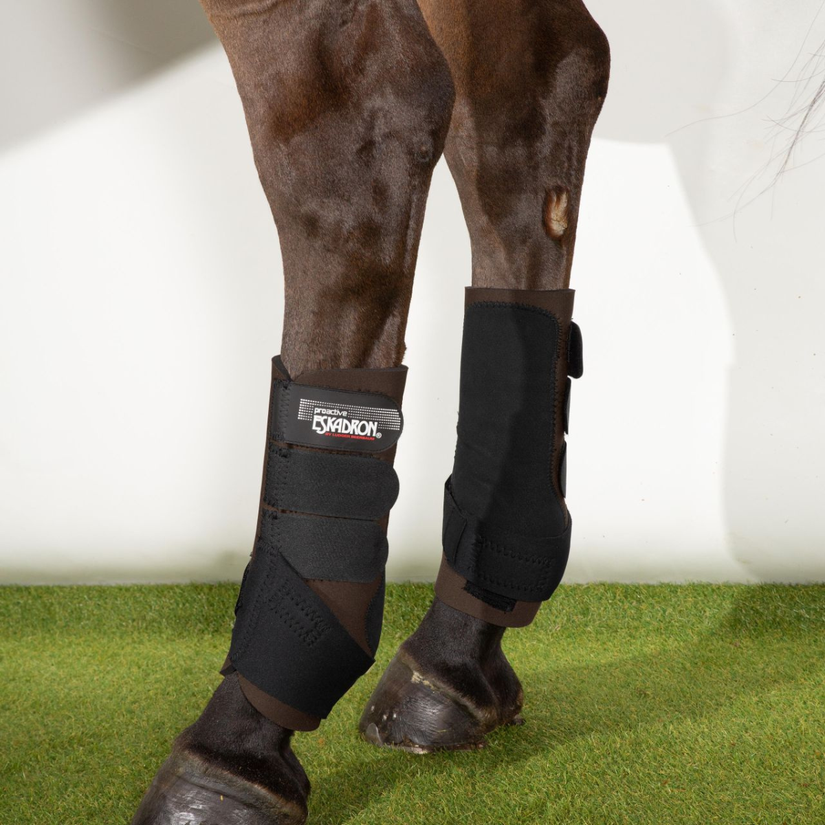 Eskadron Pro Active Benskydd Bak