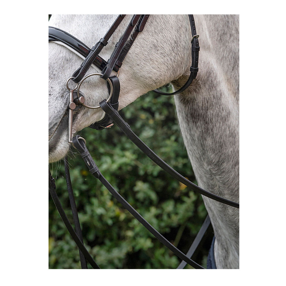 Equiline Rein with stopper Rubber inside