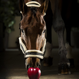 Equiline Tom Halter with Sheepskin